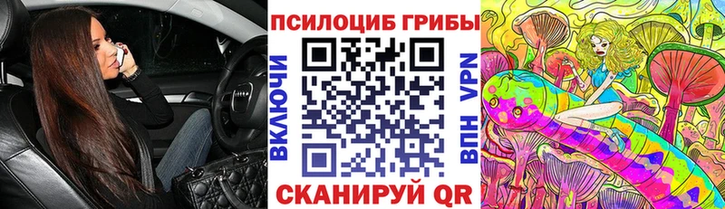 Галлюциногенные грибы MAGIC MUSHROOMS  купить  цена  Дзержинск 