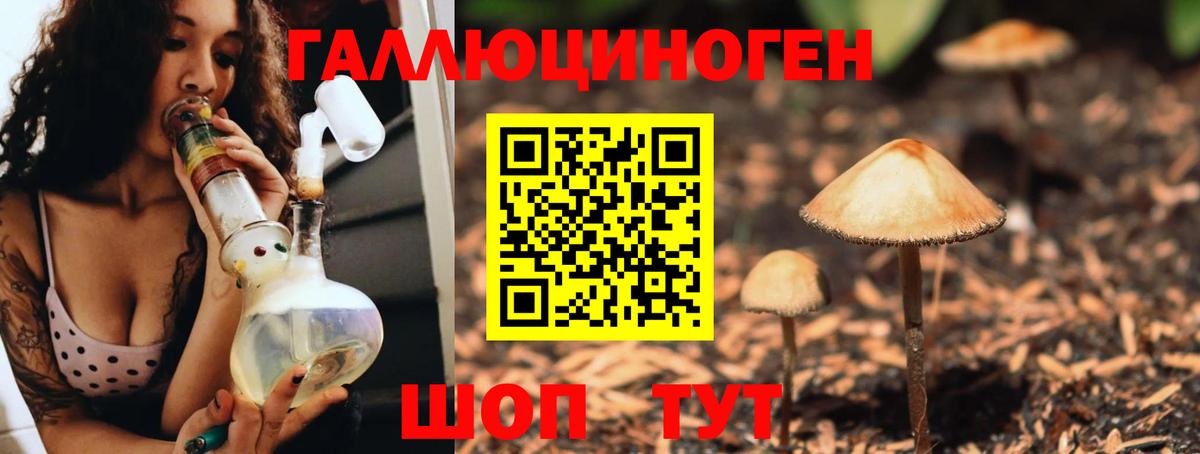 как найти наркотики  Вход с VPN  Дзержинск  Галлюциногенные грибы Psilocybe 